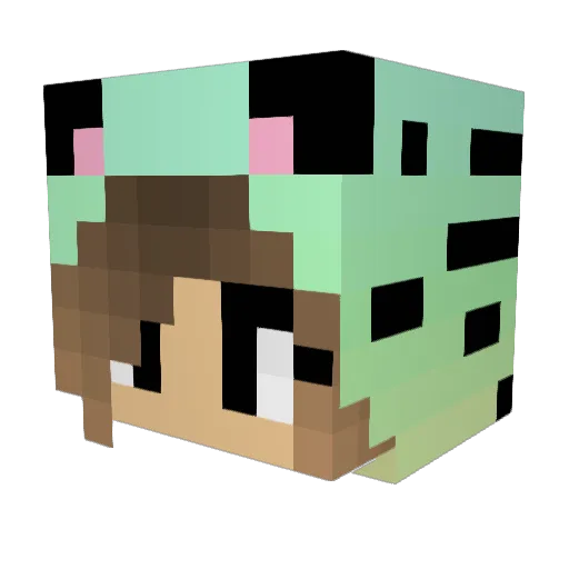WinterMAM Minecraft avatar head, 3D render