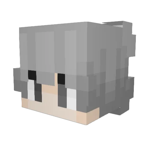 WinterMay13 Minecraft avatar head, 3D render