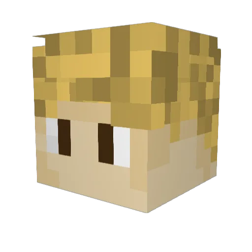 WinterMiles Minecraft avatar head, 3D render