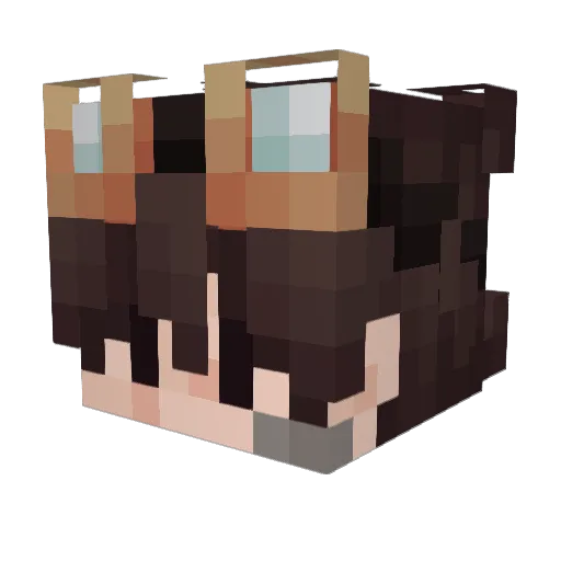 WinterNasa Minecraft avatar head, 3D render