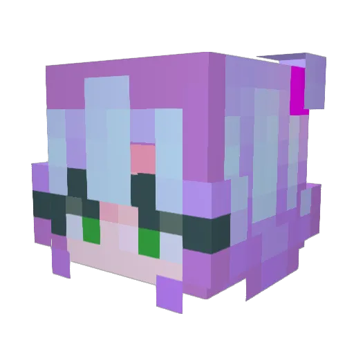 WinterNovain Minecraft avatar head, 3D render
