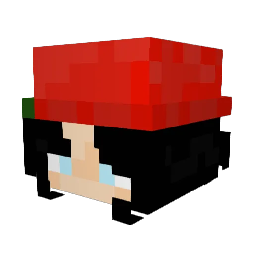WinterPants1683 Minecraft avatar head, 3D render
