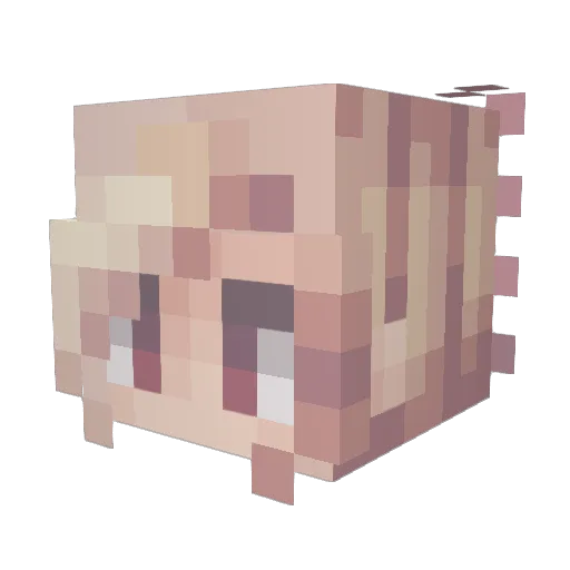 WinterRaiin Minecraft avatar head, 3D render