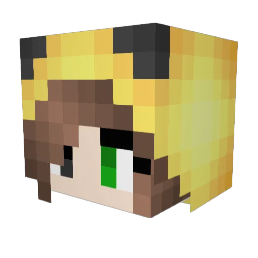 WinterSnow20 Minecraft avatar head, 3D render