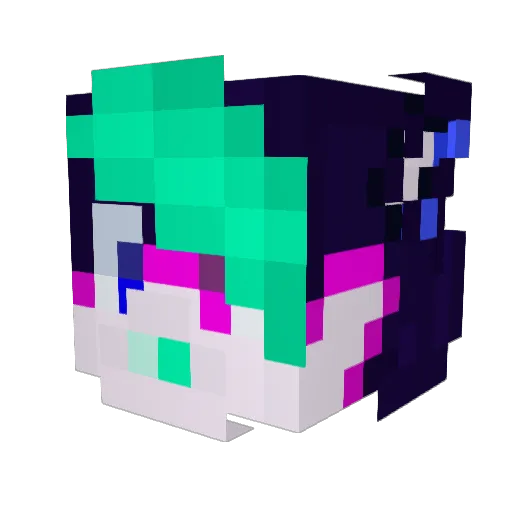 WinterSnowfall1 Minecraft avatar head, 3D render
