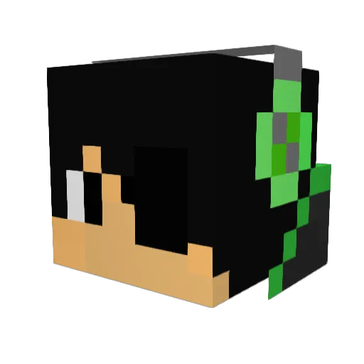 WinterSokalo Minecraft avatar head, 3D render