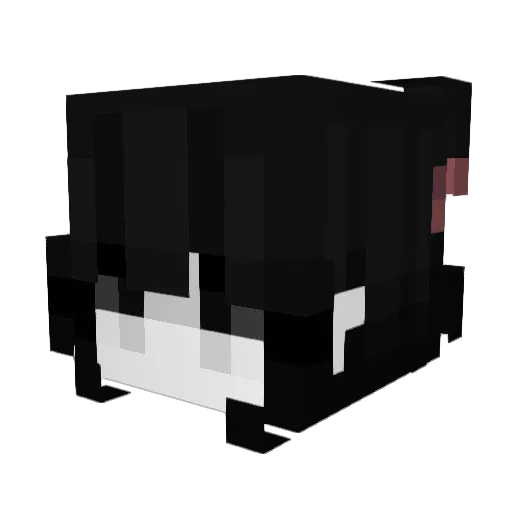 WinterSongs Minecraft avatar head, 3D render