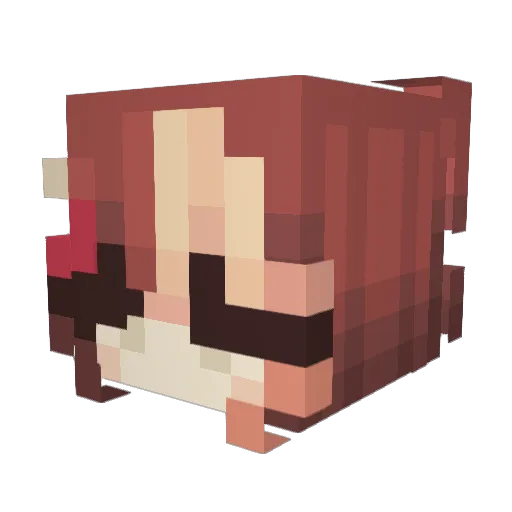 WinterSos Minecraft avatar head, 3D render
