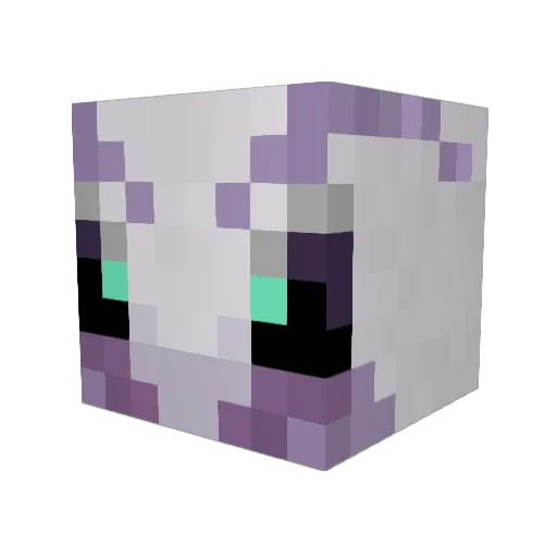 WinterSpark17 Minecraft avatar head, 3D render