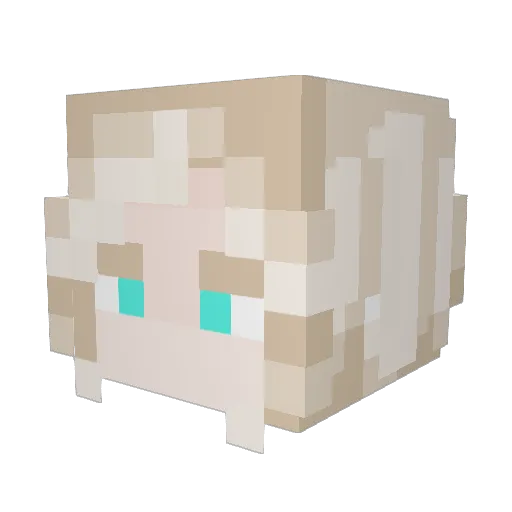 WinterStar1205 Minecraft avatar head, 3D render