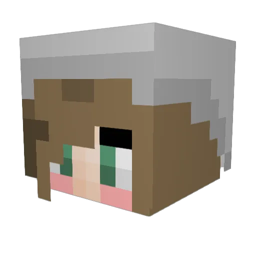 WinterSteel Minecraft avatar head, 3D render