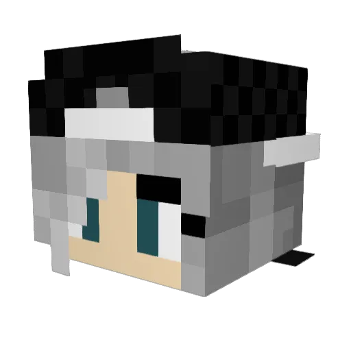 WinterWaterfall Minecraft avatar head, 3D render