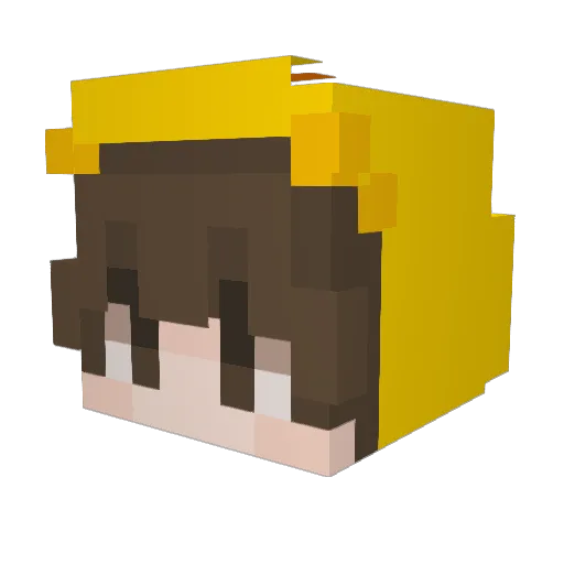 WinterWillWin Minecraft avatar head, 3D render