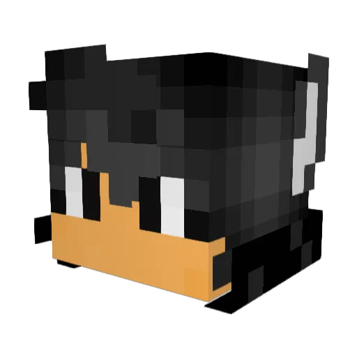 WinterWolfYT Minecraft avatar head, 3D render