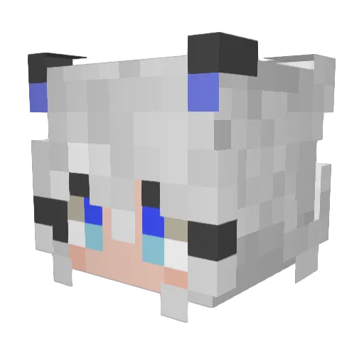 Winter_217 Minecraft avatar head, 3D render
