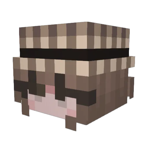Winter_4Soldier Minecraft avatar head, 3D render