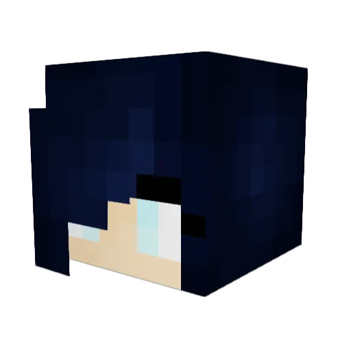Winter_Dimension Minecraft avatar head, 3D render