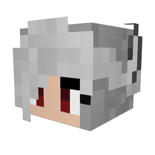 Winter_Dusk Minecraft avatar head, 3D render