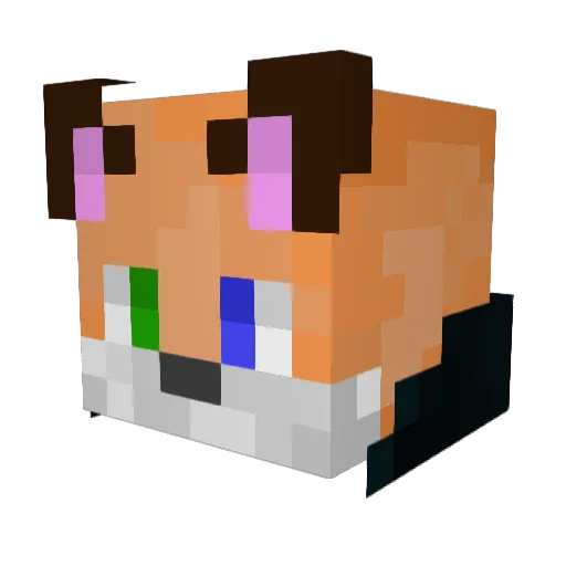 Winter_Floof Minecraft avatar head, 3D render