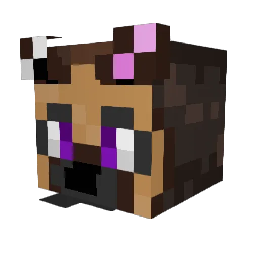 Winter_Haven Minecraft avatar head, 3D render