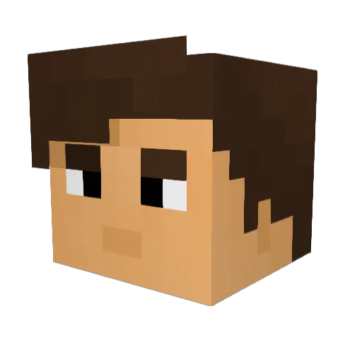 Winter_Owl Minecraft avatar head, 3D render