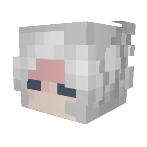 Winter_Season Minecraft avatar head, 3D render