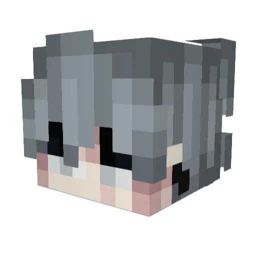 Winter____ Minecraft avatar head, 3D render