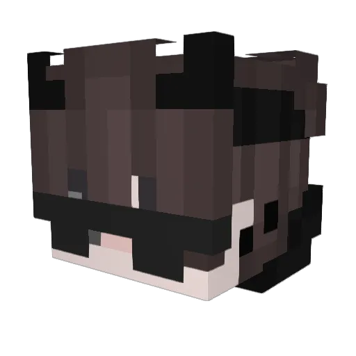 WinterboyHD Minecraft avatar head, 3D render