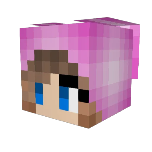 Winterbunny12 Minecraft avatar head, 3D render