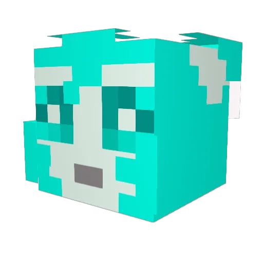Wintercat12 Minecraft avatar head, 3D render