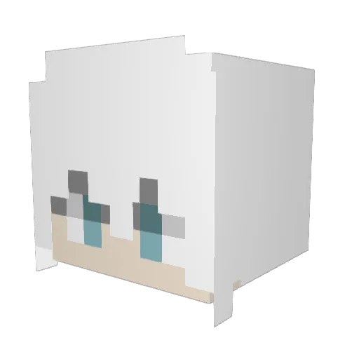 Wintercat222 Minecraft avatar head, 3D render