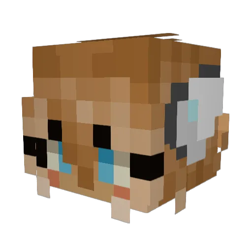 Winterdarlingg Minecraft avatar head, 3D render