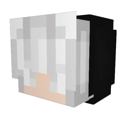 Winterfox0 Minecraft avatar head, 3D render