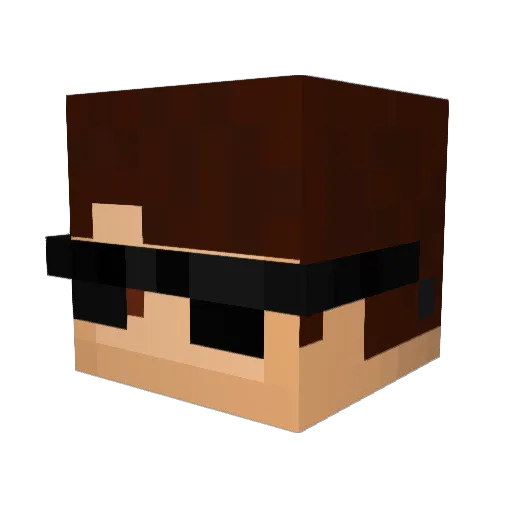 Winterlion2004 Minecraft avatar head, 3D render