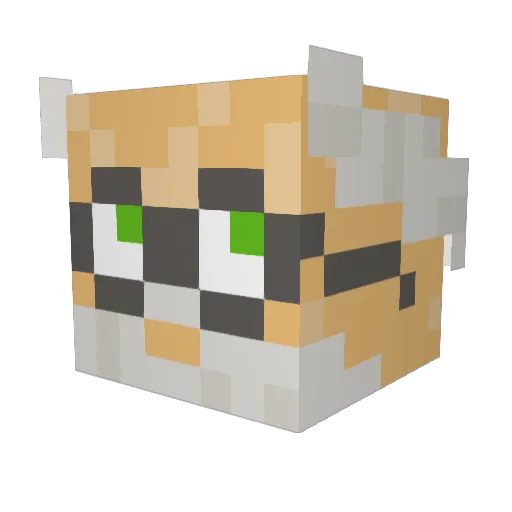 Winterm4te Minecraft avatar head, 3D render