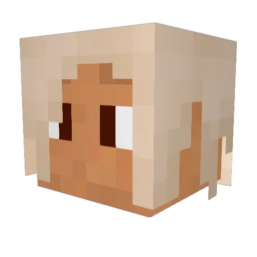 Wintermaulz Minecraft avatar head, 3D render