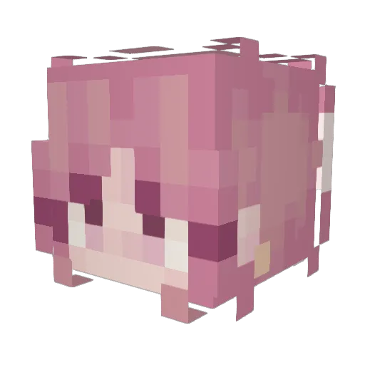 Winterpom Minecraft avatar head, 3D render