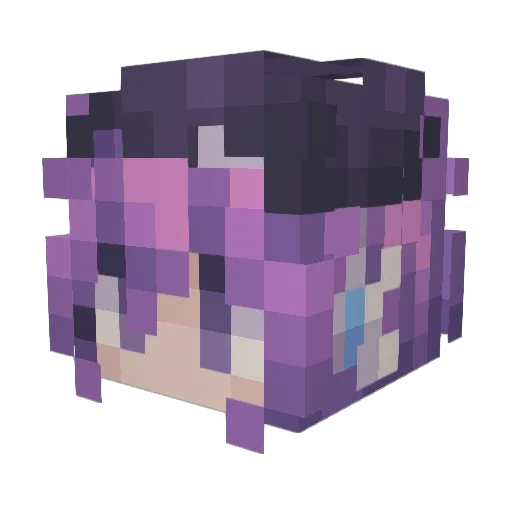 Minecraft-Avatar von Winterrbite: Kopf als 3D-Render