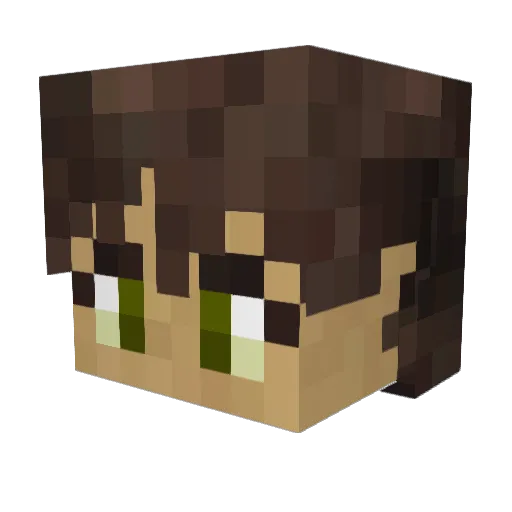WintersKnight94 Minecraft avatar head, 3D render