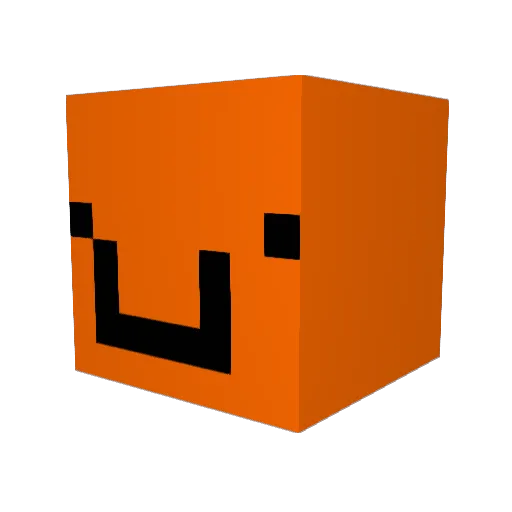 Wintersport228 Minecraft avatar head, 3D render