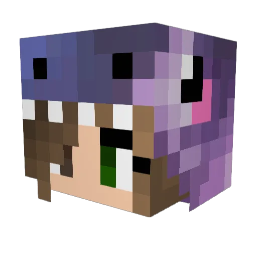 Winterstar225 Minecraft avatar head, 3D render