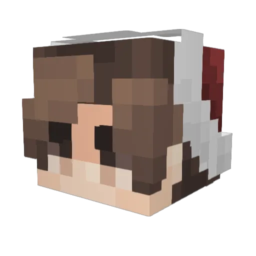 Wintertee Minecraft avatar head, 3D render