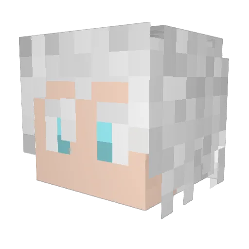 WinterwolfX3 Minecraft avatar head, 3D render