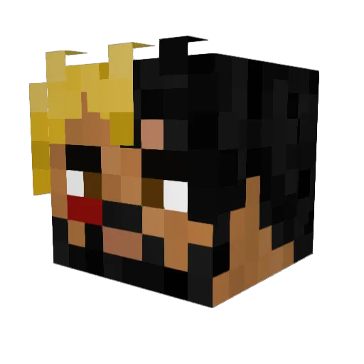 WinterxKnight Minecraft avatar head, 3D render