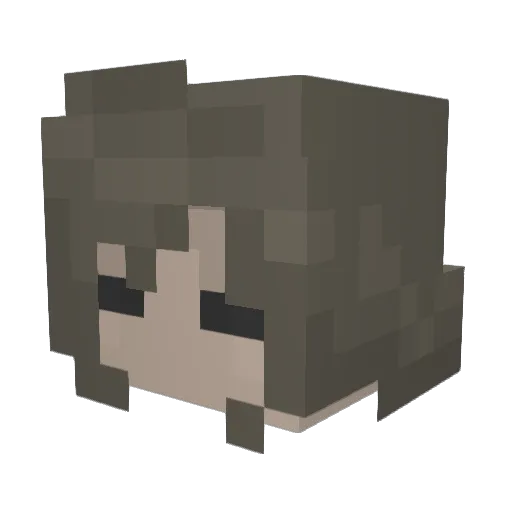 Winterygaming Minecraft avatar head, 3D render