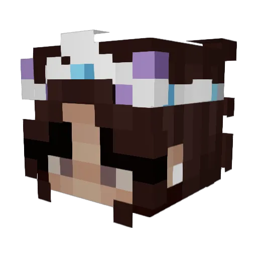 Winti0508 Minecraft avatar head, 3D render