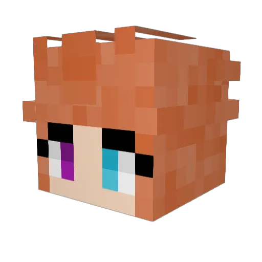 WintrSolstice Minecraft avatar head, 3D render