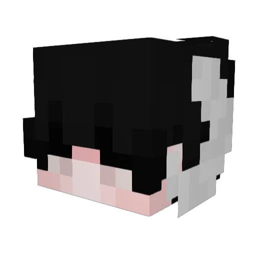WintryIsMissing Minecraft avatar head, 3D render