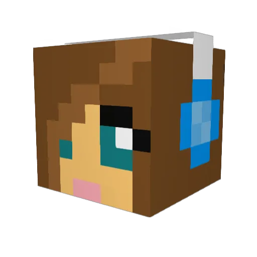 WintryKestrel Minecraft avatar head, 3D render