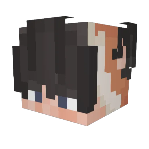 Wintry_Fox Minecraft avatar head, 3D render